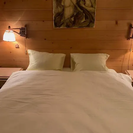 Cozy Overlooking The Gstaad Mountain Area سشونريد