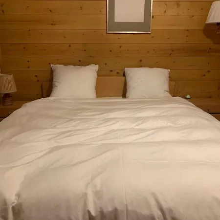 شقة Cozy Overlooking The Gstaad Mountain Area