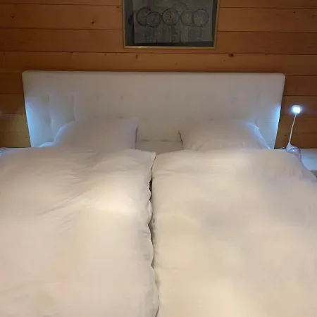 شقة Cozy Overlooking The Gstaad Mountain Area سشونريد