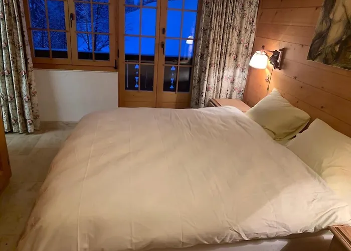 Cozy Overlooking The Gstaad Mountain Area Appartement *