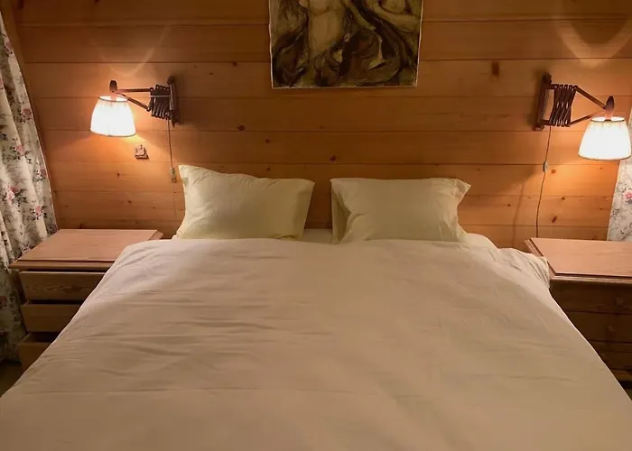 Cozy Overlooking The Gstaad Mountain Area Schönried