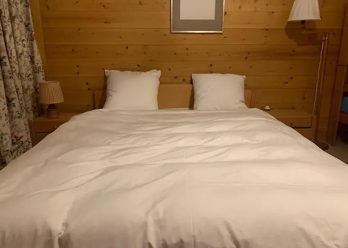 Appartement Cozy Overlooking The Gstaad Mountain Area