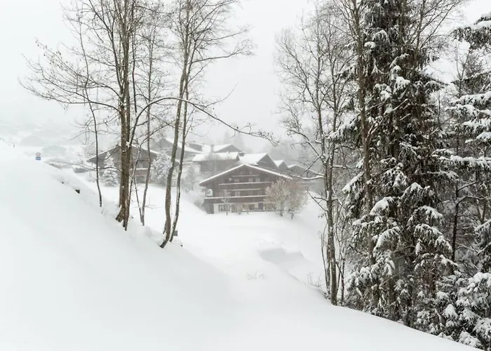 Cozy Overlooking The Gstaad Mountain Area Appartement *