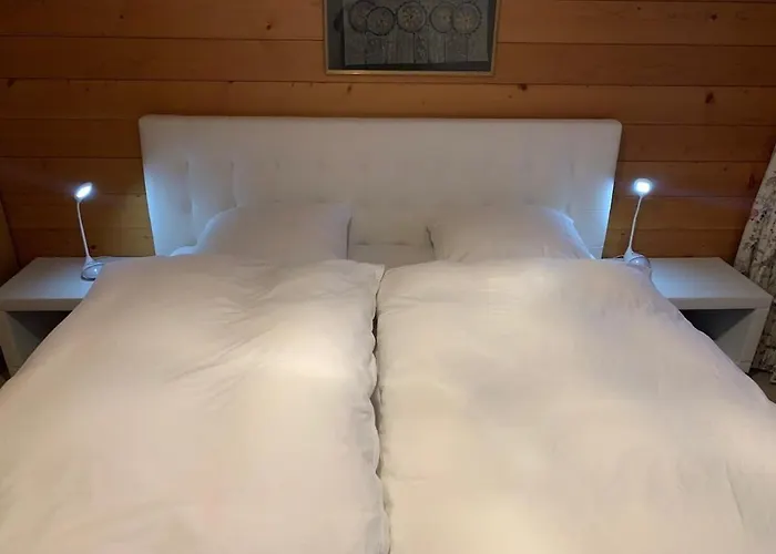 Appartement Cozy Overlooking The Gstaad Mountain Area Schönried