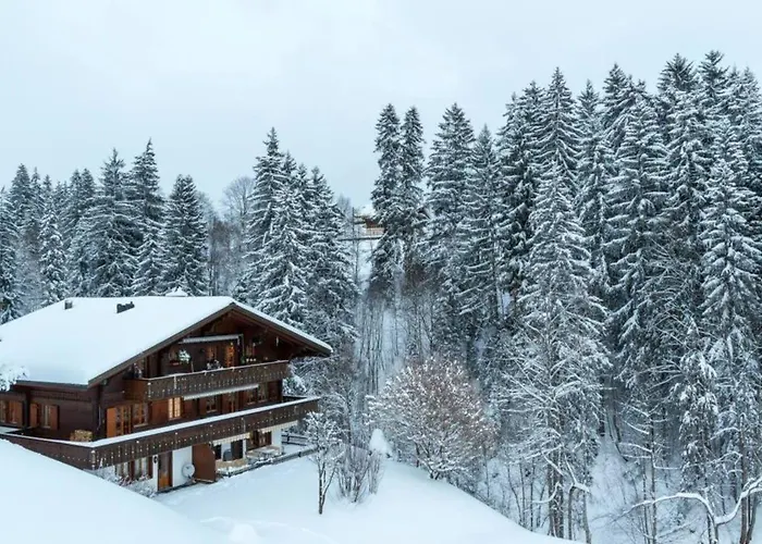 Cozy Overlooking The Gstaad Mountain Area