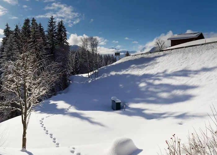 Cozy Overlooking The Gstaad Mountain Area Appartement