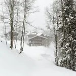 Cozy Overlooking The Gstaad Mountain Area Apartment *