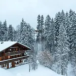 Cozy Overlooking The Gstaad Mountain Area