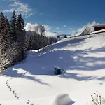 Cozy Overlooking The Gstaad Mountain Area Apartment