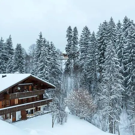 Cozy Overlooking The Gstaad Mountain Area